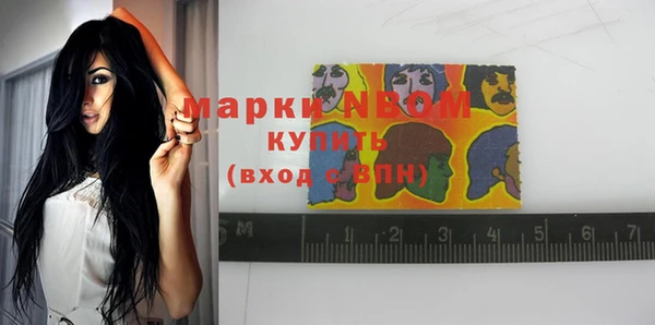 прущие грибы Белокуриха