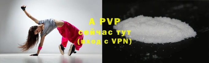 прущие грибы Белокуриха