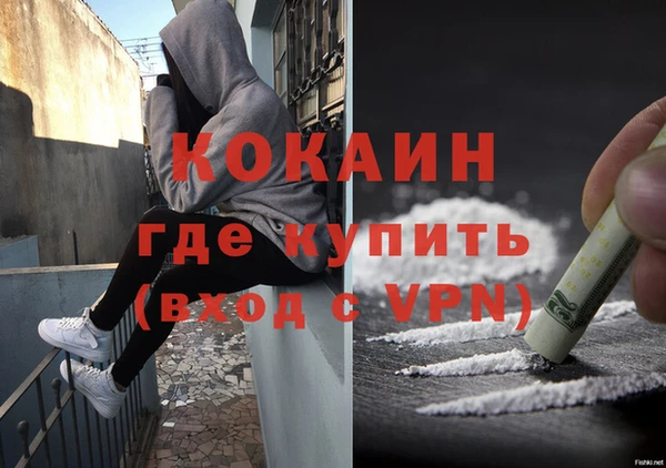 прущие грибы Белокуриха