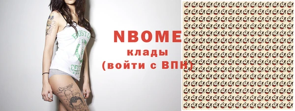 прущие грибы Белокуриха
