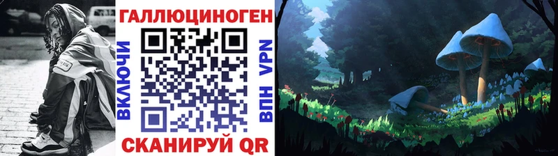 Псилоцибиновые грибы GOLDEN TEACHER  Кукмор 