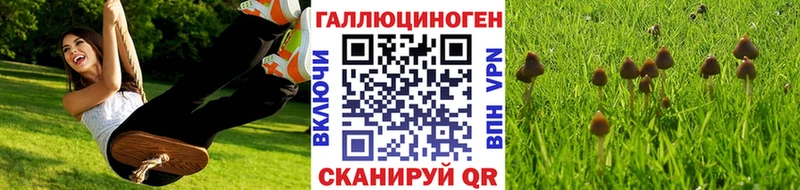 Псилоцибиновые грибы мицелий Кукмор